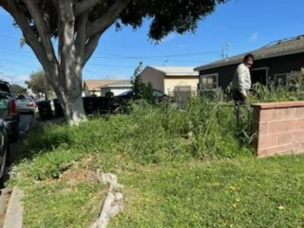 Professional landscape installation in Downey, CA - Migi's Landscapeing