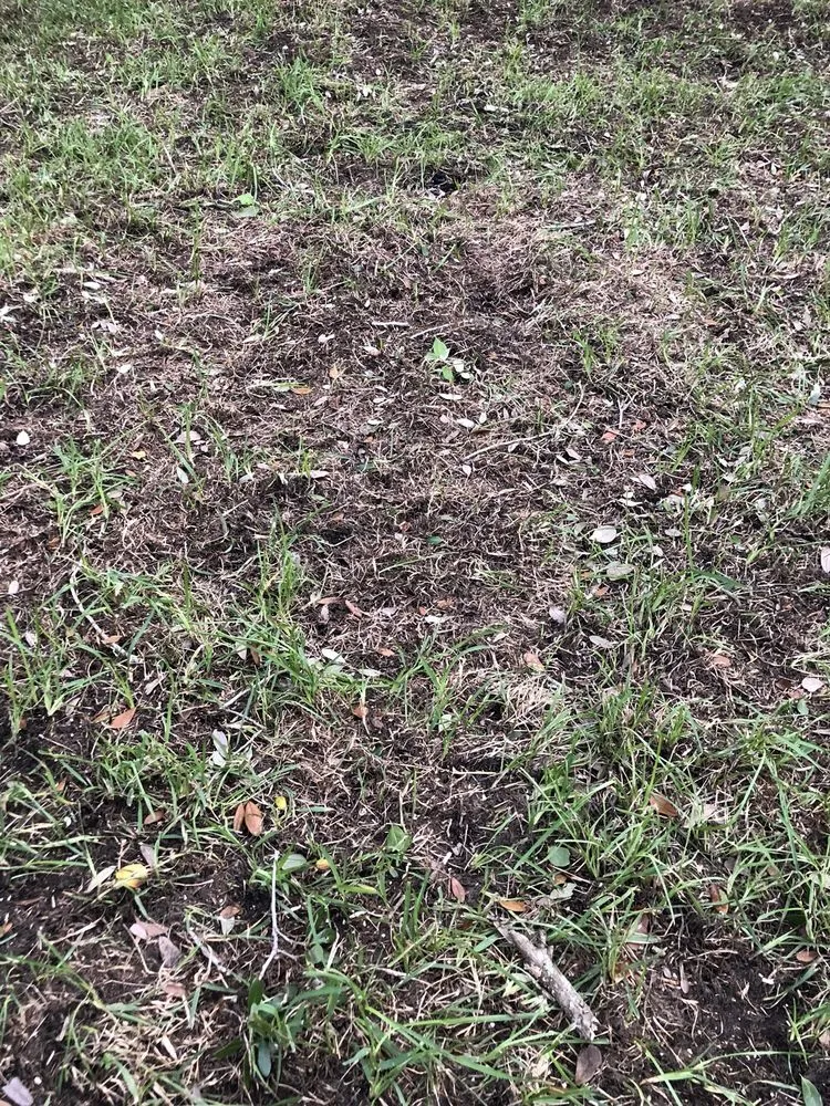 Reliable yard cleanup service with custom design in Boynton Beach, FL by Mignano Lawn Care & Landscaping