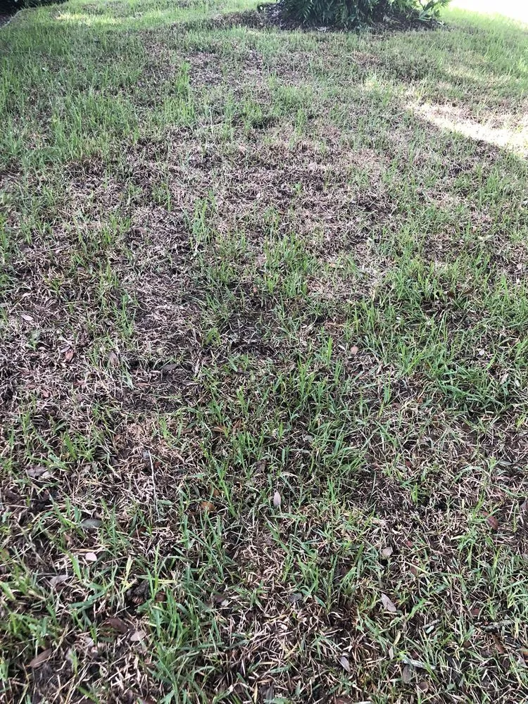 Top-rated garden landscaping with custom design in Boynton Beach, FL by Mignano Lawn Care & Landscaping