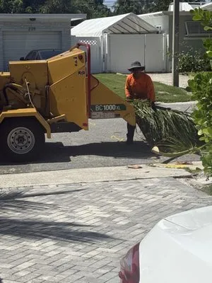 Mignano Lawn Care & Landscaping Logo