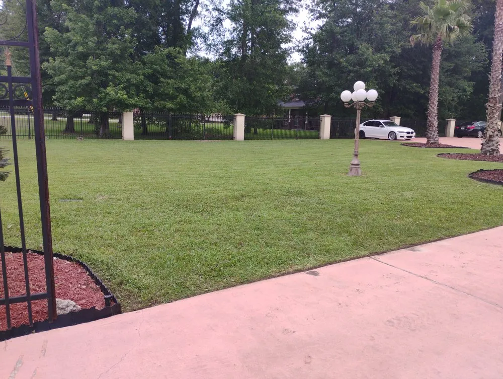 Expert landscaping services for year-round maintenance in New Caney, TX by Migos Home Repair