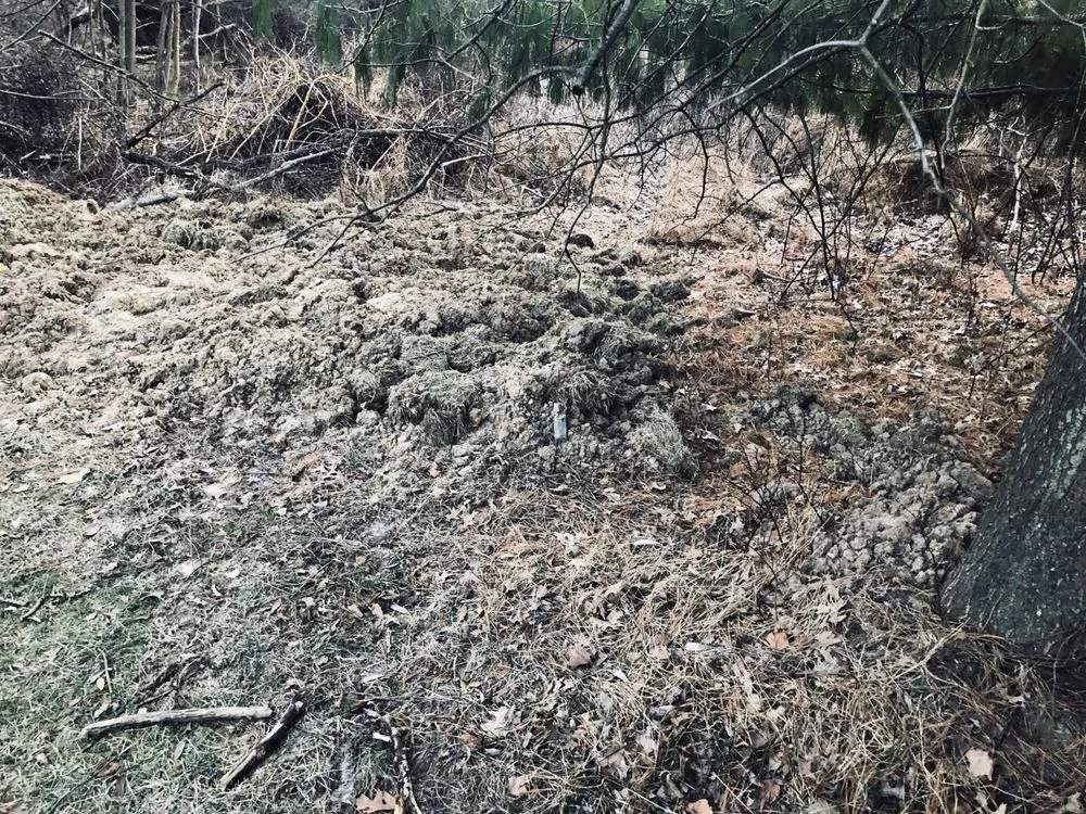 Affordable lawn care service experts serving Freehold, NJ - Migos Tree Service & Pavers