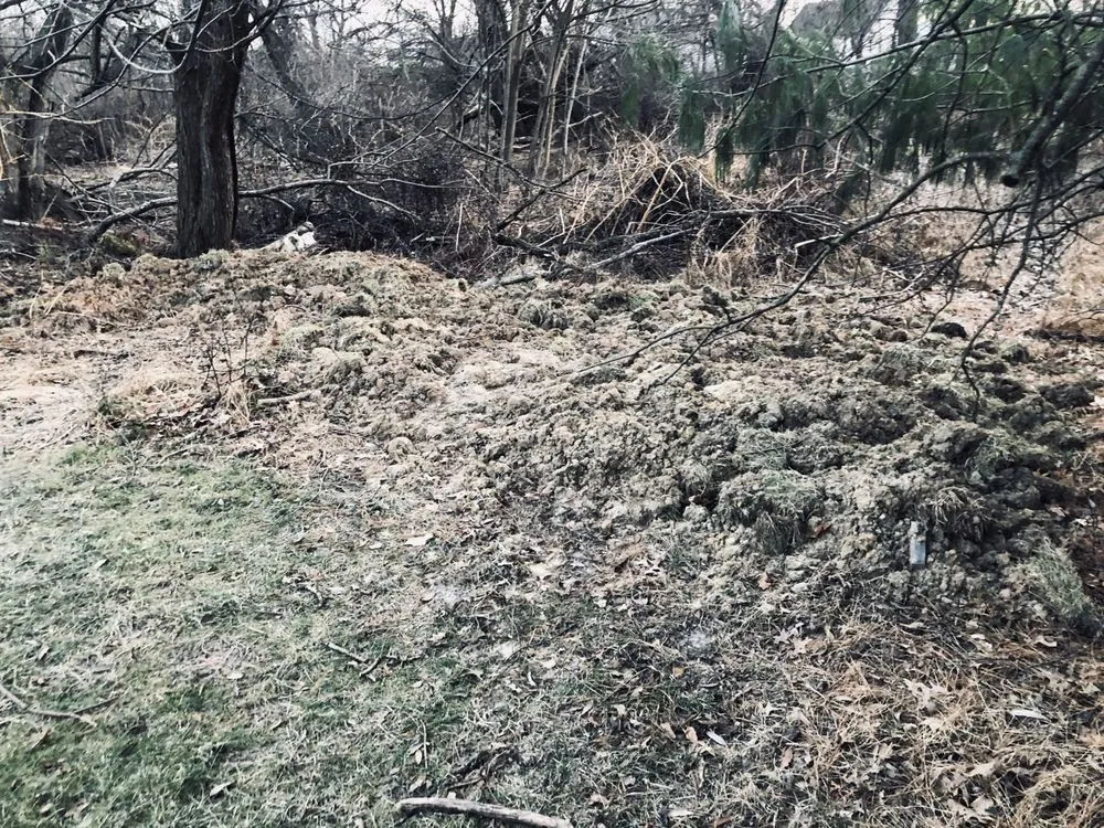 Affordable outdoor landscaping in Freehold, NJ - Migos Tree Service & Pavers