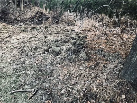 Migos Tree Service & Pavers Logo