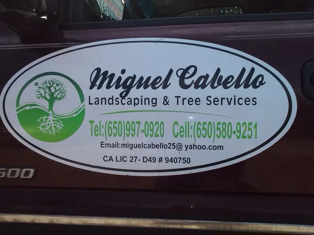 Top-rated landscape installation in Daly City, CA - Miguel A Cabello