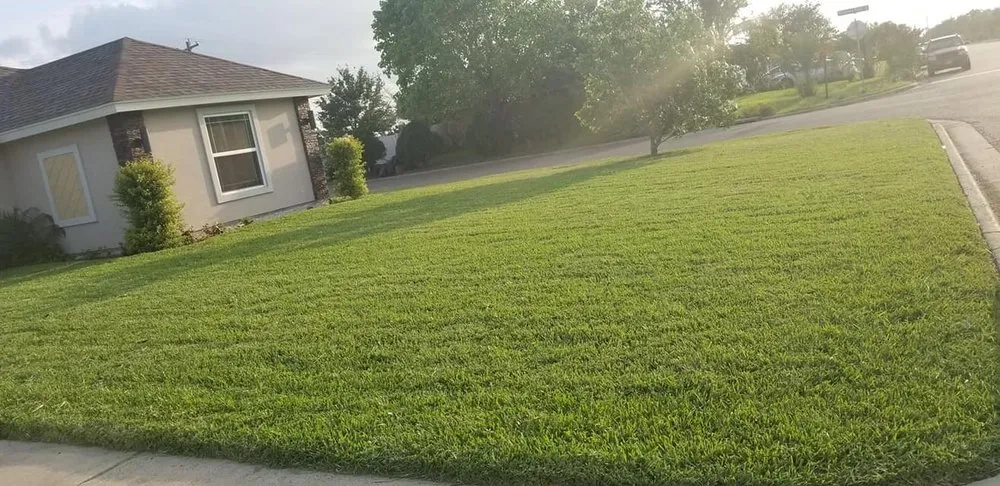 Expert yard maintenance in Harlingen, TX - Miguel Cuts