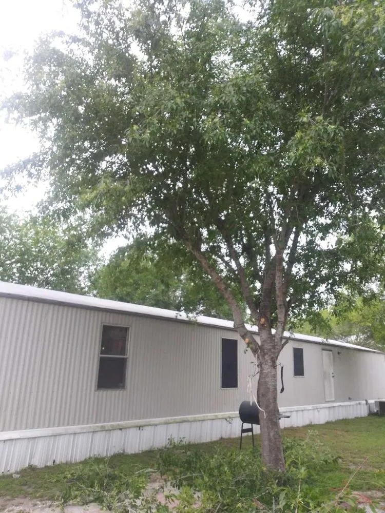 Affordable outdoor landscaping experts serving Harlingen, TX - Miguel Cuts