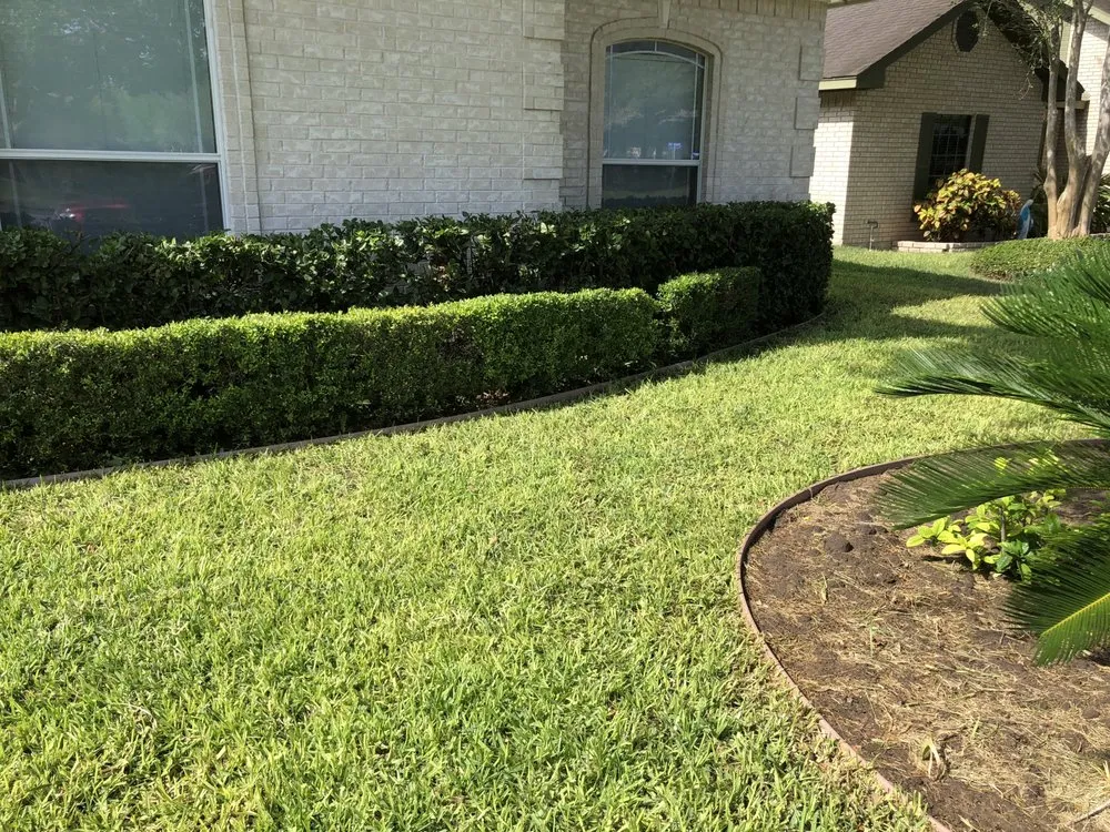 Expert garden landscaping for year-round maintenance in Harlingen, TX by Miguel Cuts