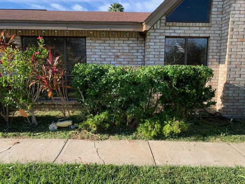 Reliable outdoor landscaping experts serving Harlingen, TX - Miguel Cuts