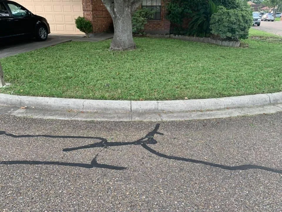 Professional yard maintenance for year-round maintenance across Harlingen, TX - Miguel Cuts