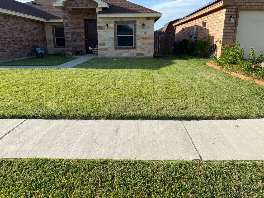Affordable landscape installation in Harlingen, TX by Miguel Cuts