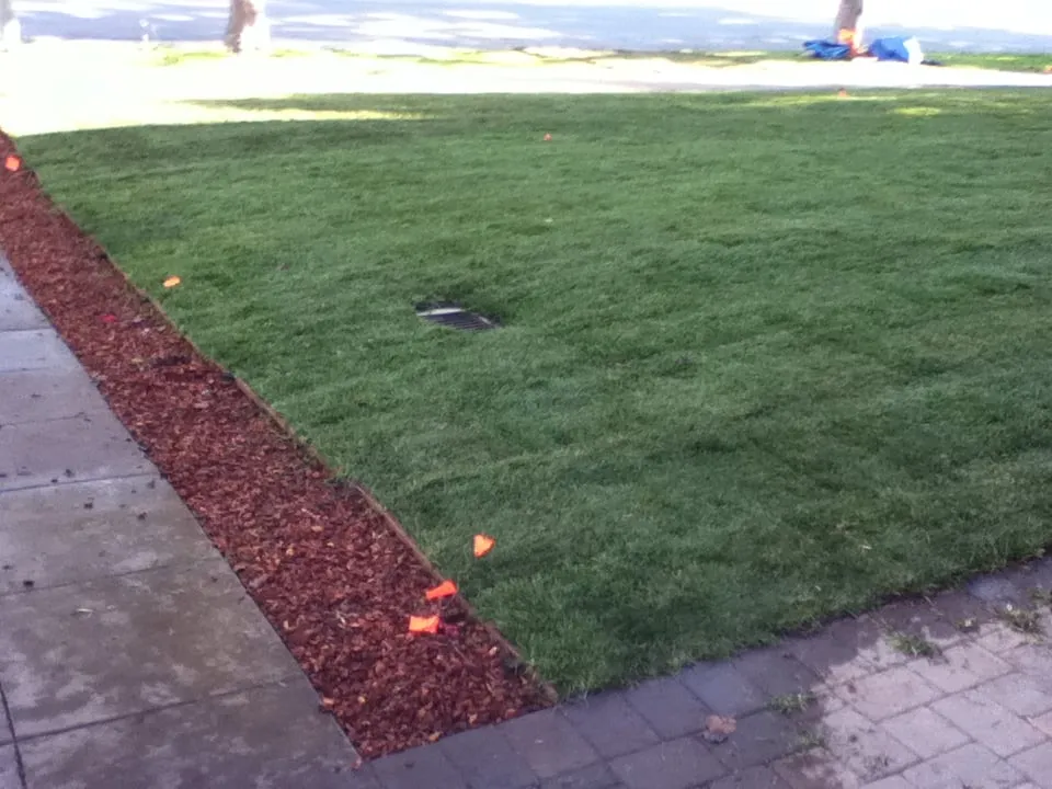 Reliable lawn care service experts serving Redwood City, CA - Miguel Dorantes