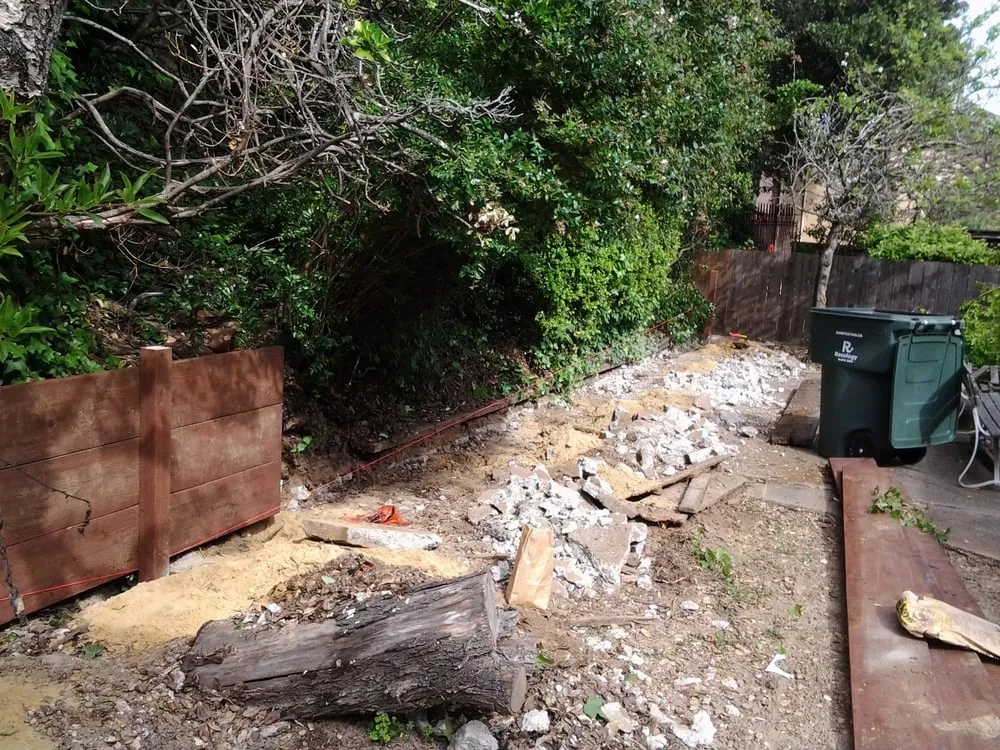 Professional yard maintenance in Redwood City, CA by Miguel Dorantes