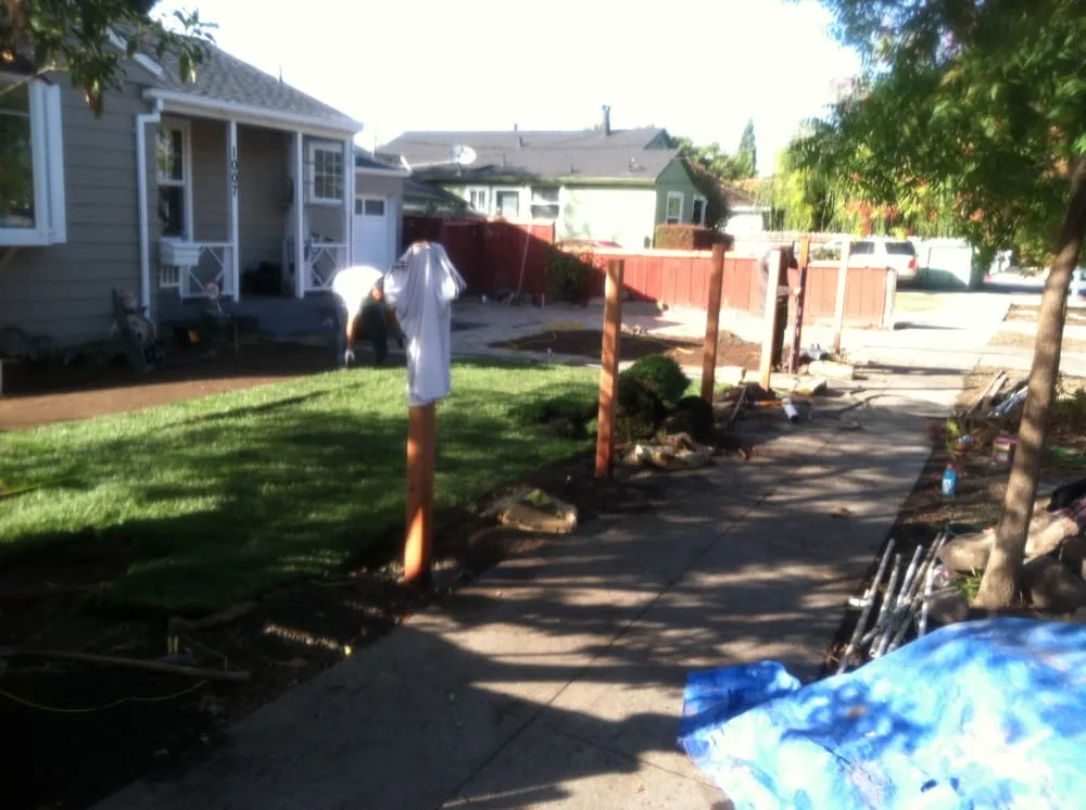 Top-rated yard cleanup service for residential properties across Redwood City, CA - Miguel Dorantes