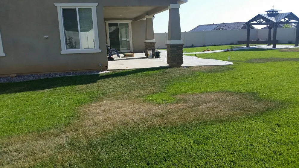 Top-rated lawn care service in Riverside, CA - Miguel Gardening and Landscaping