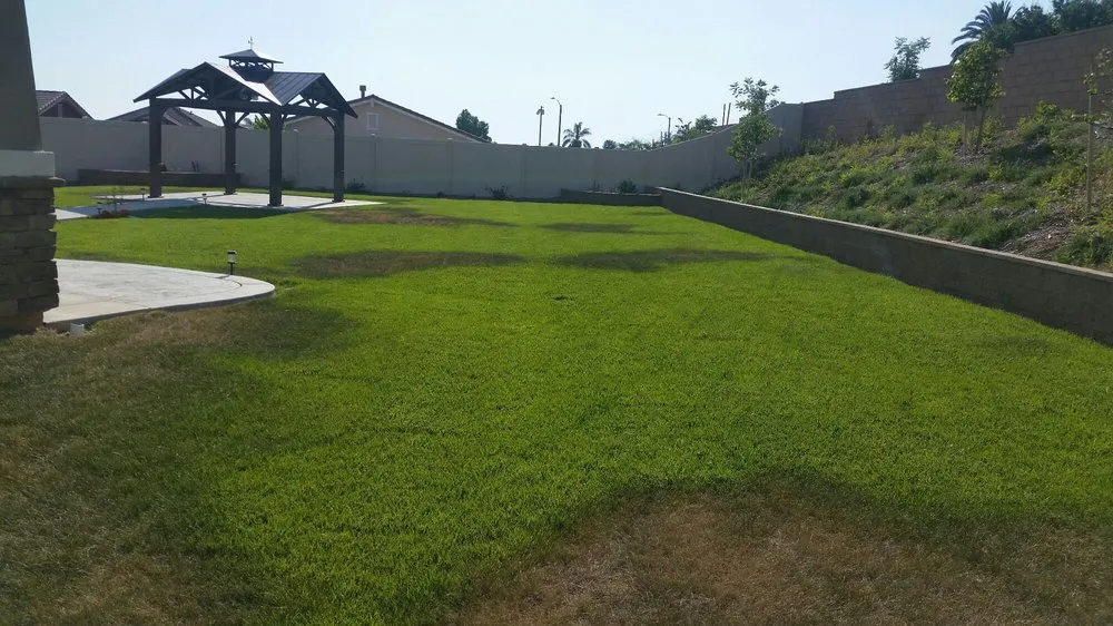 Reliable lawn mowing service experts serving Riverside, CA - Miguel Gardening and Landscaping