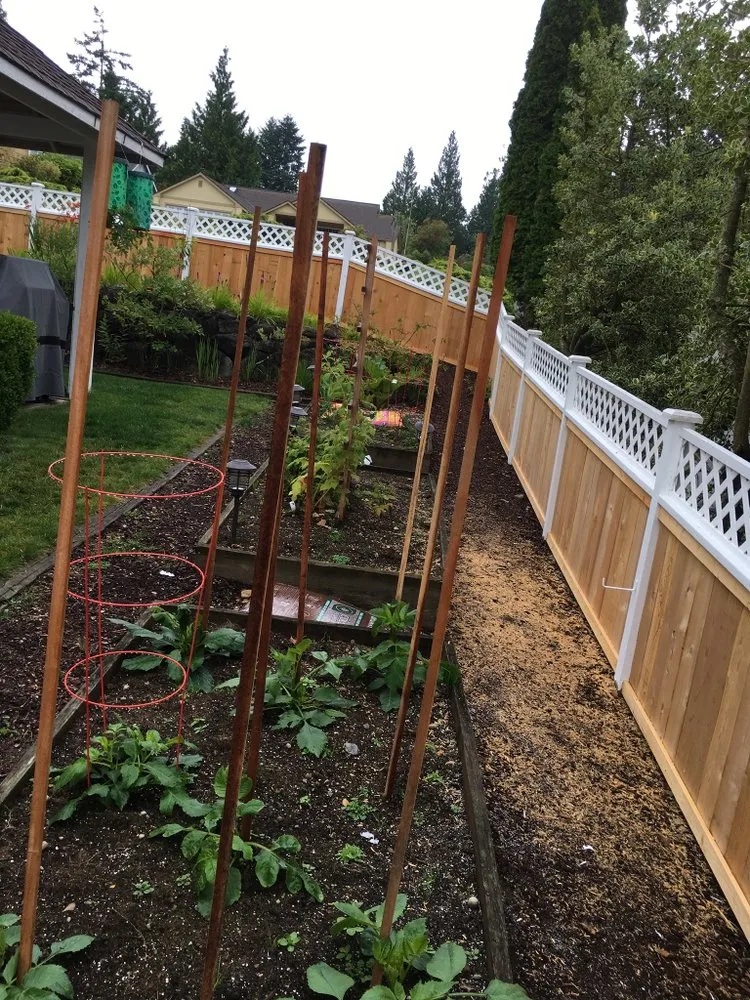 Expert lawn care service in Bremerton, WA - Miguel Gaspar lawn care