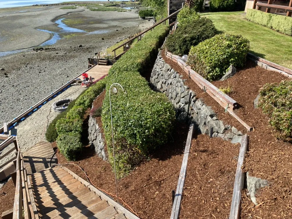 Custom lawn care service experts serving Bremerton, WA - Miguel Gaspar lawn care