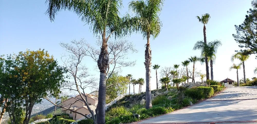 Top-rated garden landscaping for homes in Los Angeles, CA by Miguel Gonzales Tree Service