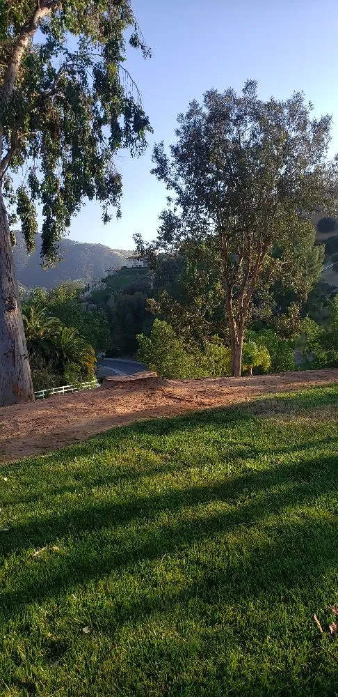 Custom landscape installation experts serving Los Angeles, CA - Miguel Gonzales Tree Service