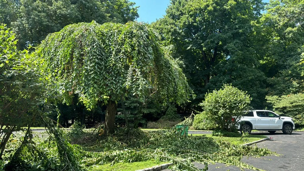 Expert landscaping services in Beacon, NY - Miguel González