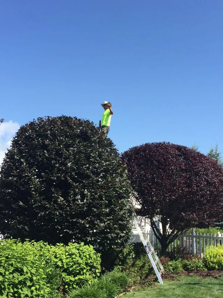 Reliable yard maintenance experts serving Beacon, NY - Miguel González