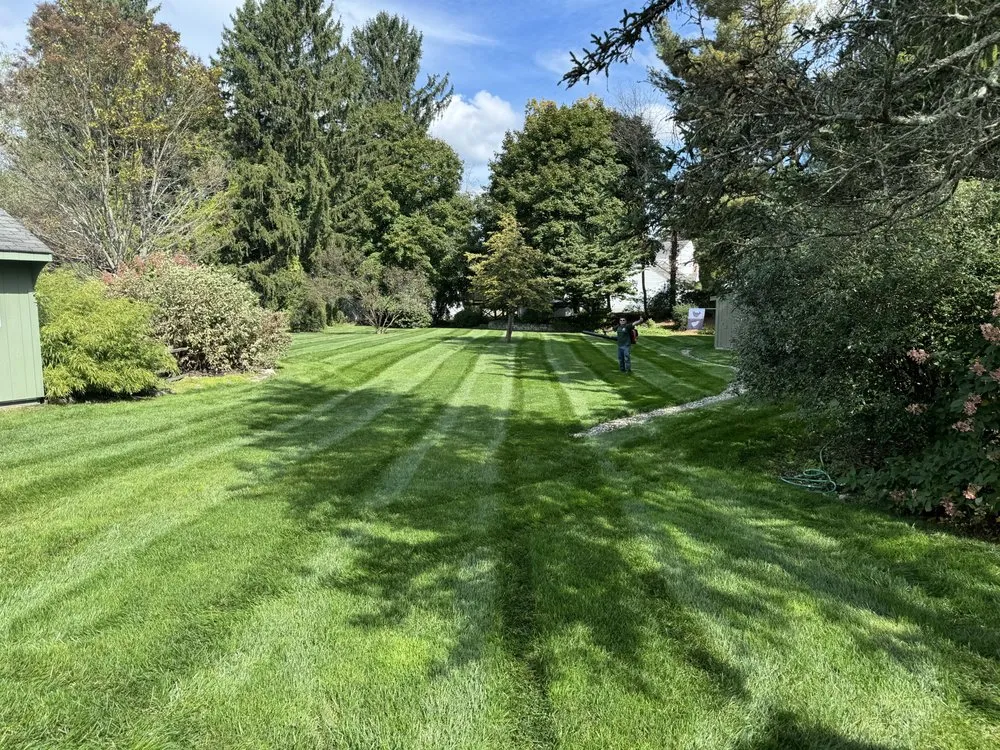 Affordable garden landscaping experts serving Beacon, NY - Miguel González