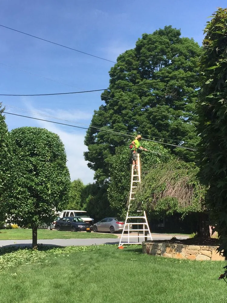 Top-rated yard maintenance for beautiful yards across Beacon, NY - Miguel González