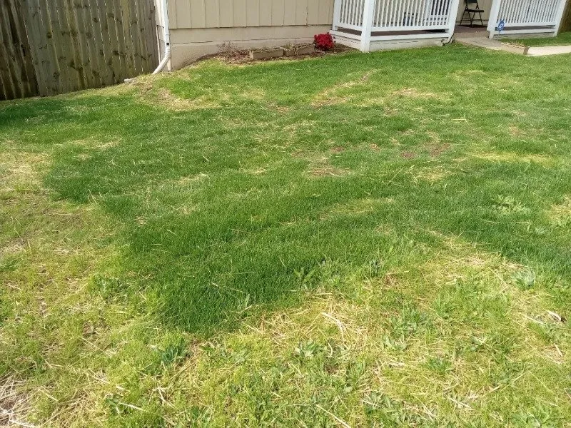 Custom landscape design in Lanham, MD - Miguel Laguna Lawn Services