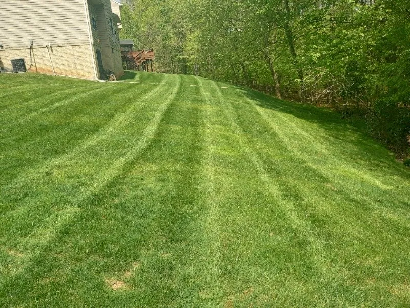 Custom lawn care service for homes in Lanham, MD by Miguel Laguna Lawn Services