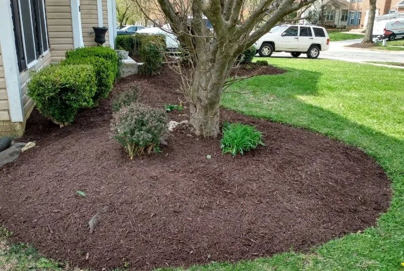 Custom landscape design with custom design in Lanham, MD by Miguel Laguna Lawn Services