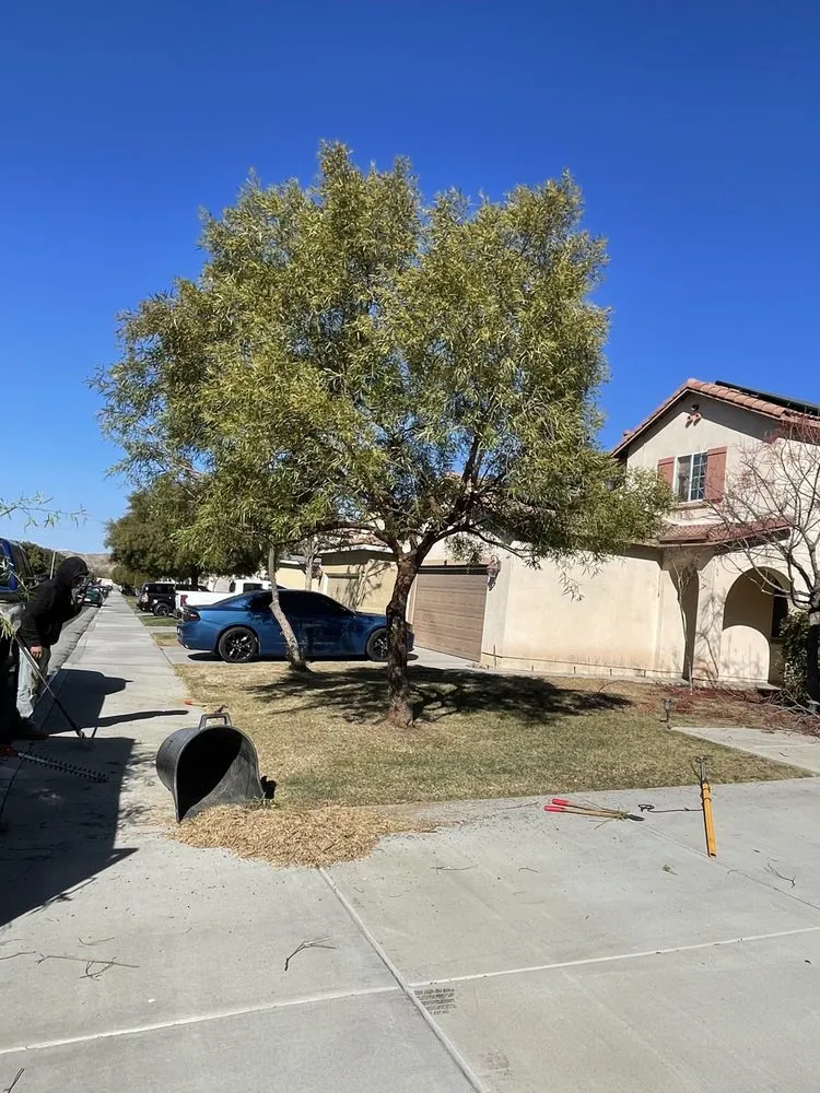 Custom landscape design near you in Homeland, CA by Miguel Landscape & Concrete