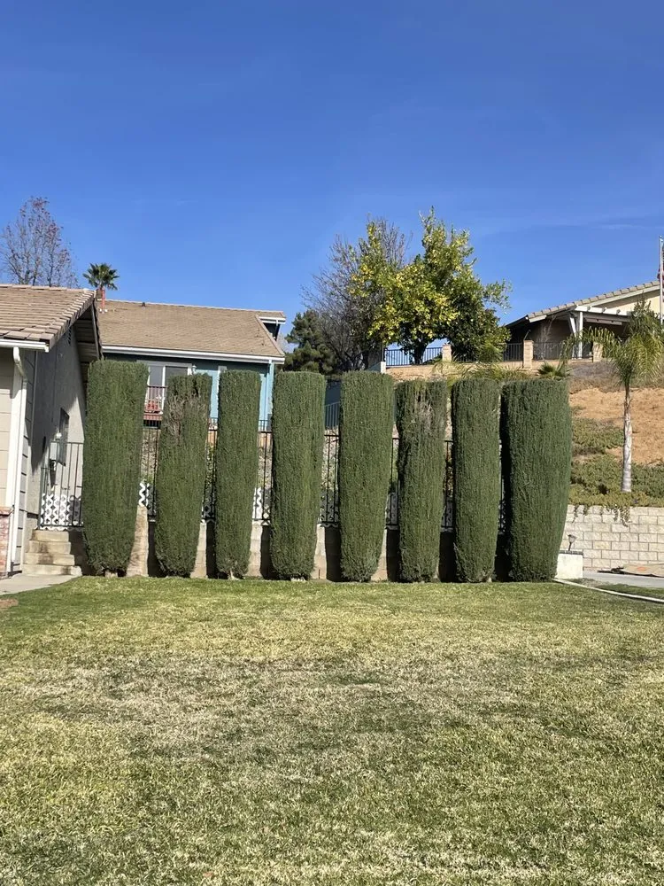 Expert residential landscaping in Homeland, CA - Miguel Landscape & Concrete