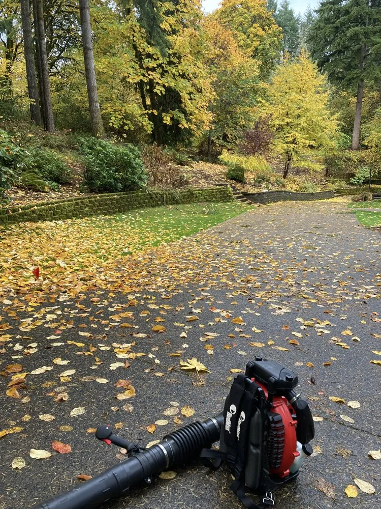 Reliable residential landscaping near you across Hillsboro, OR - Miguel Landscape