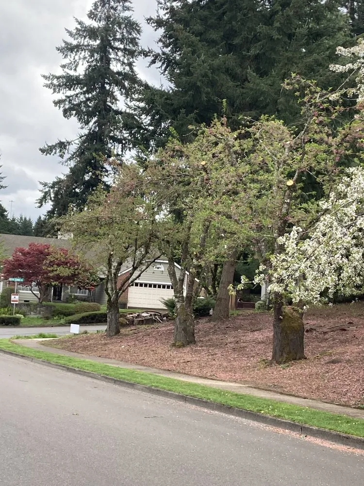 Custom landscaping services in Hillsboro, OR - Miguel Landscape