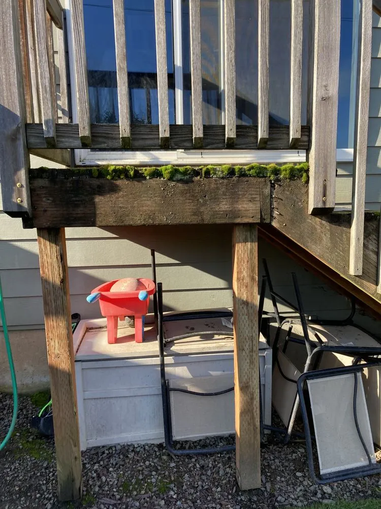 Affordable yard cleanup service in Hillsboro, OR - Miguel Landscape