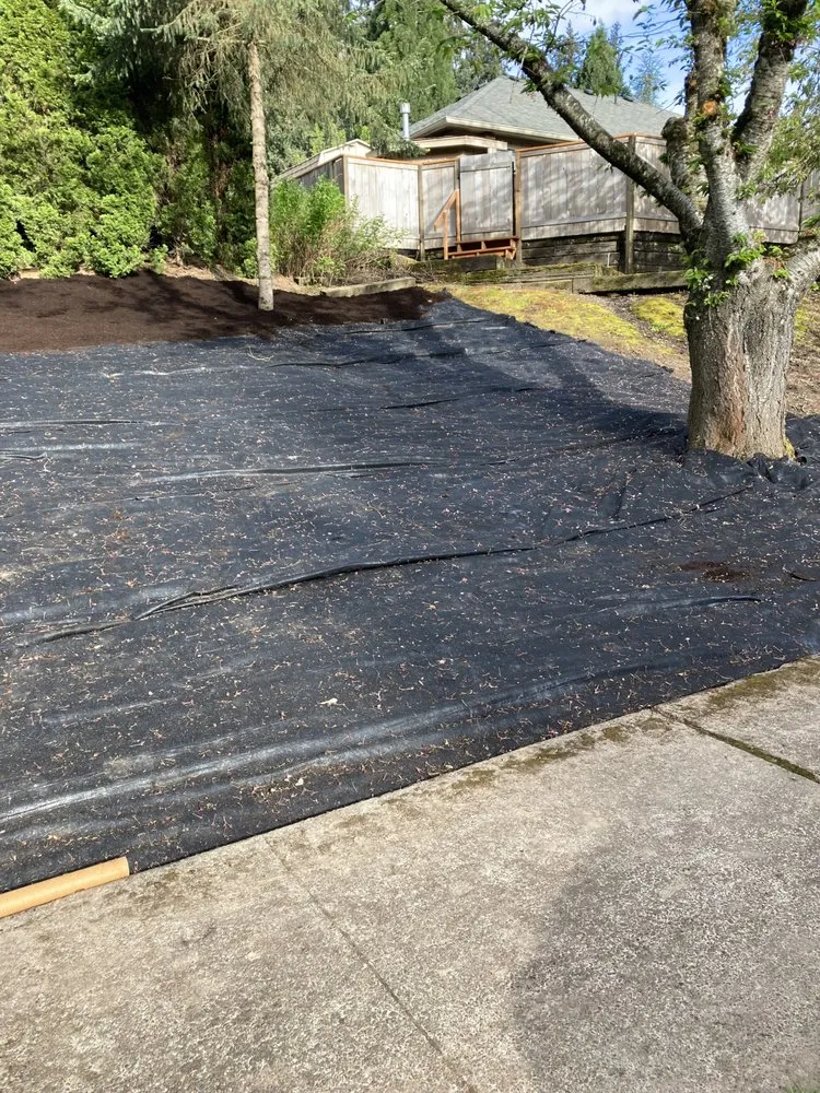 Local landscape installation in Hillsboro, OR by Miguel Landscape