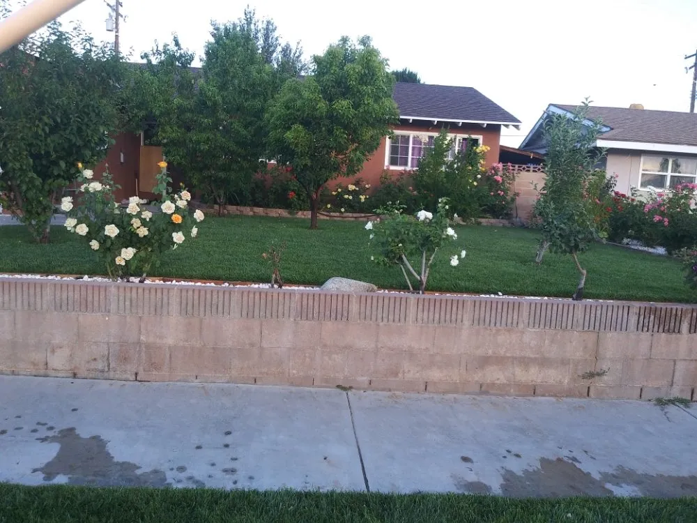 Local landscape installation in Palmdale, CA by Miguel Landscaping