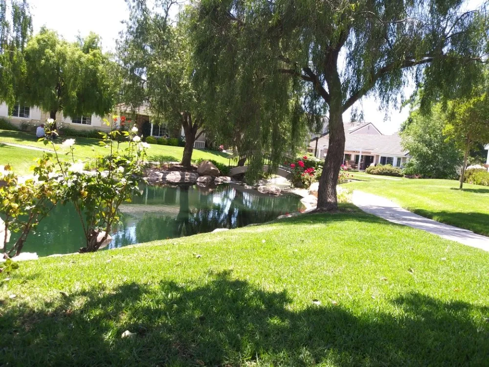 Custom landscape installation for beautiful yards across Palmdale, CA - Miguel Landscaping