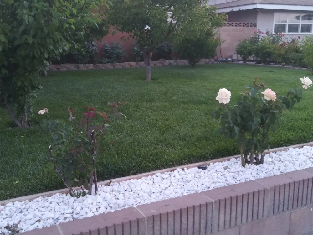 Local landscape installation for year-round maintenance in Palmdale, CA by Miguel Landscaping
