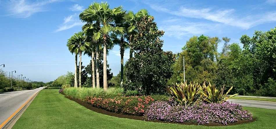 Reliable landscaping services for outdoor upgrades in Shelton, WA by Miguel Landscaping