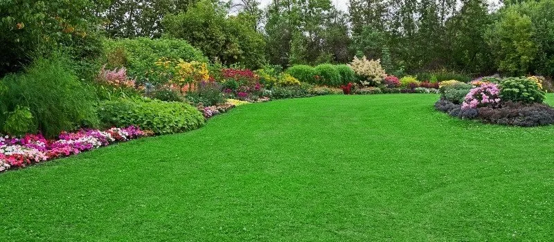 Professional landscaping services in Shelton, WA - Miguel Landscaping