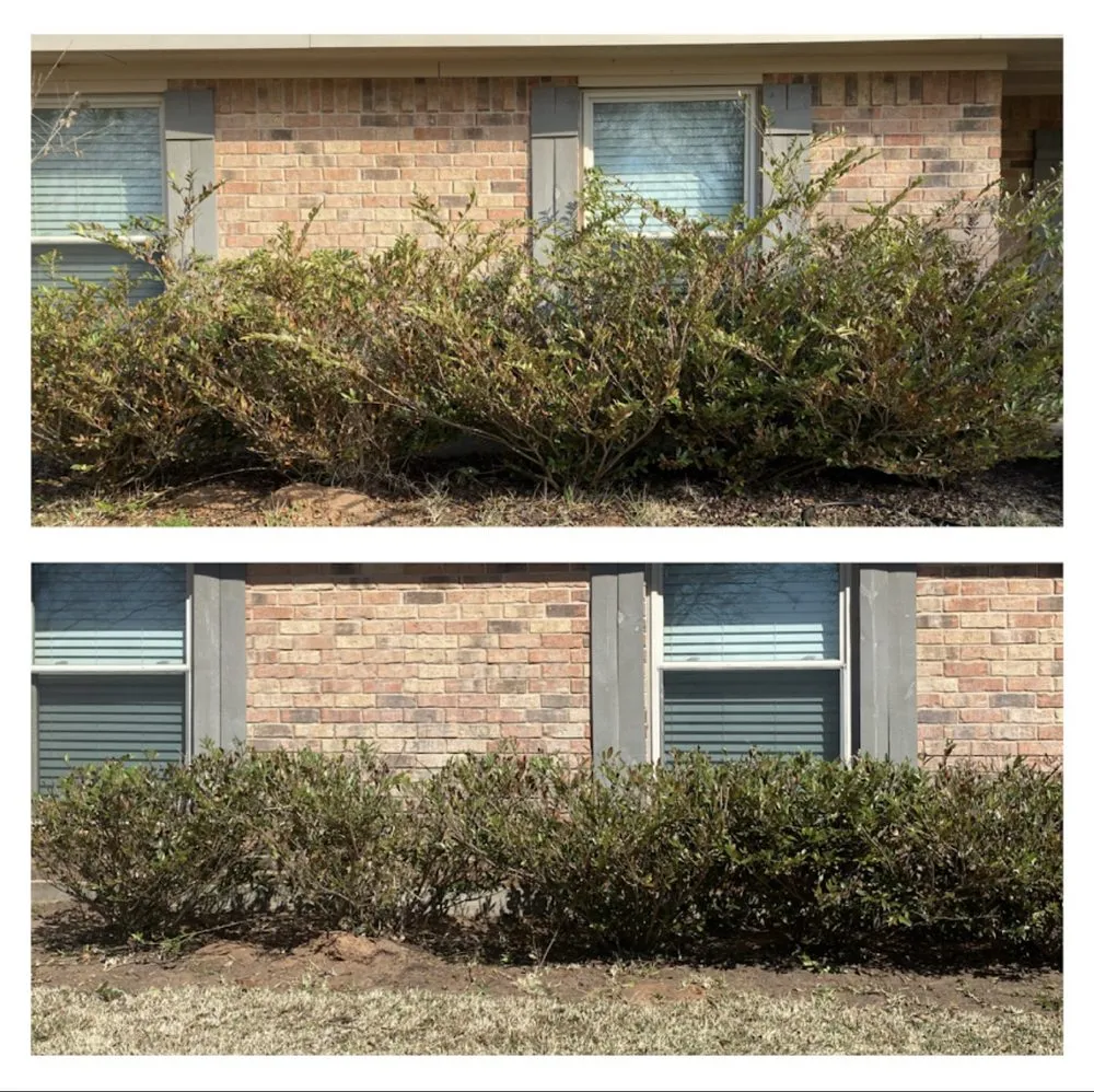 Expert yard cleanup service experts serving Katy, TX - Miguel Lawn Service