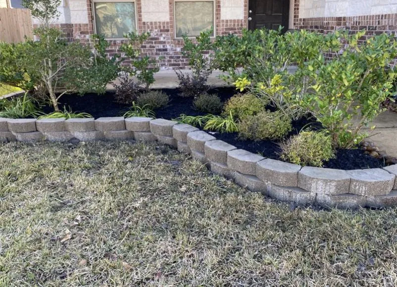 Top-rated lawn care service in Katy, TX by Miguel Lawn Service