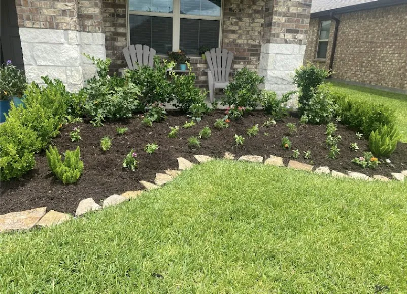 Local yard maintenance in Katy, TX - Miguel Lawn Service