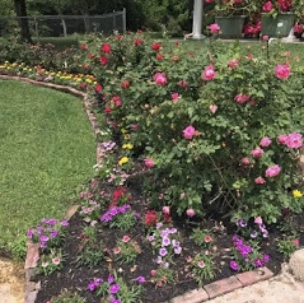 Top-rated residential landscaping in Katy, TX - Miguel Lawn Service
