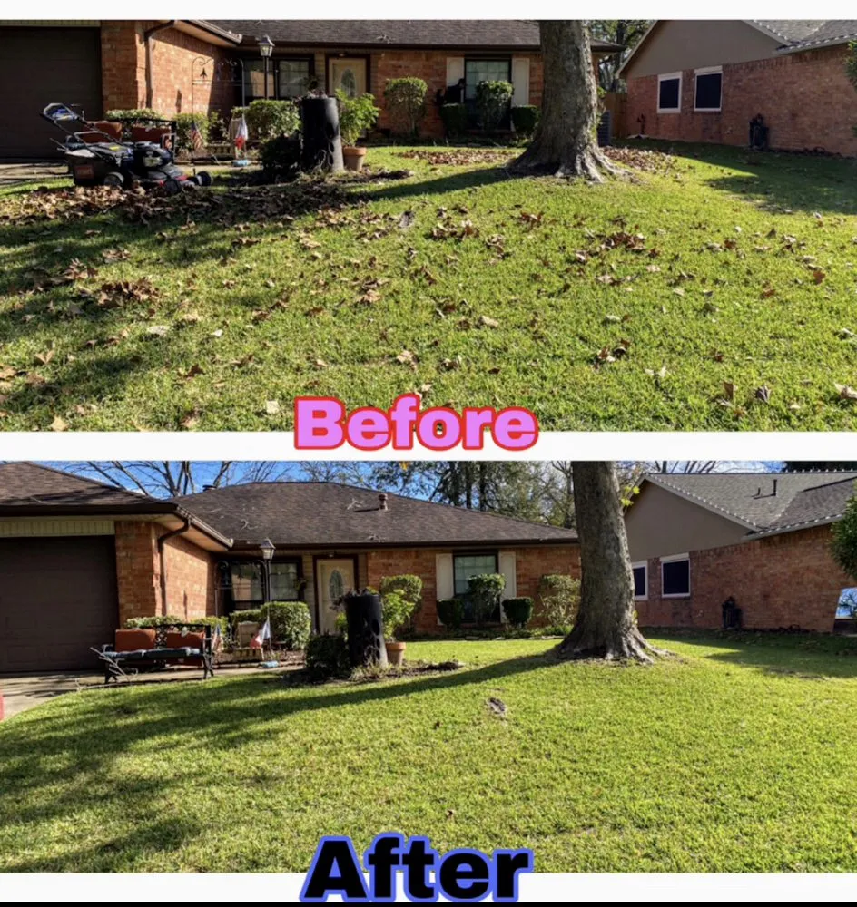 Trusted outdoor landscaping experts serving Katy, TX - Miguel Lawn Service