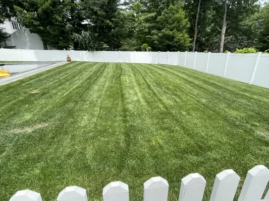 Miguel Lemus Landscape Logo