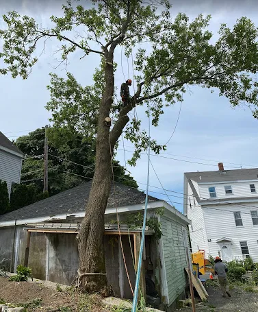 Local lawn mowing service for year-round maintenance across Swampscott, MA - Miguel Lopez Landscaping & Hardscaping