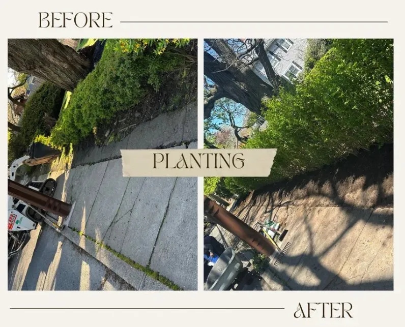 Professional lawn mowing service in Swampscott, MA - Miguel Lopez Landscaping & Hardscaping